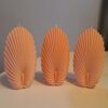 sea shell